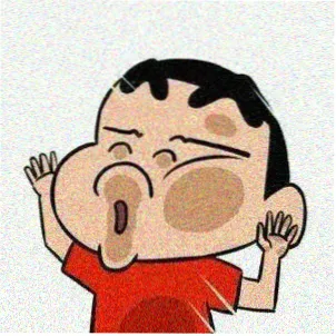 观众南窗留言头像